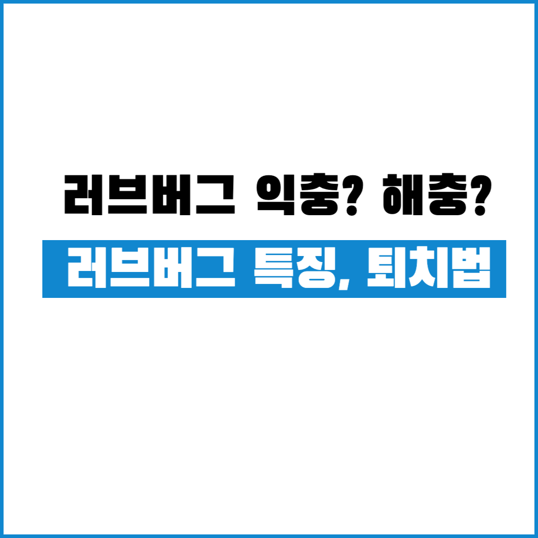 러브 버그 특징 퇴치법