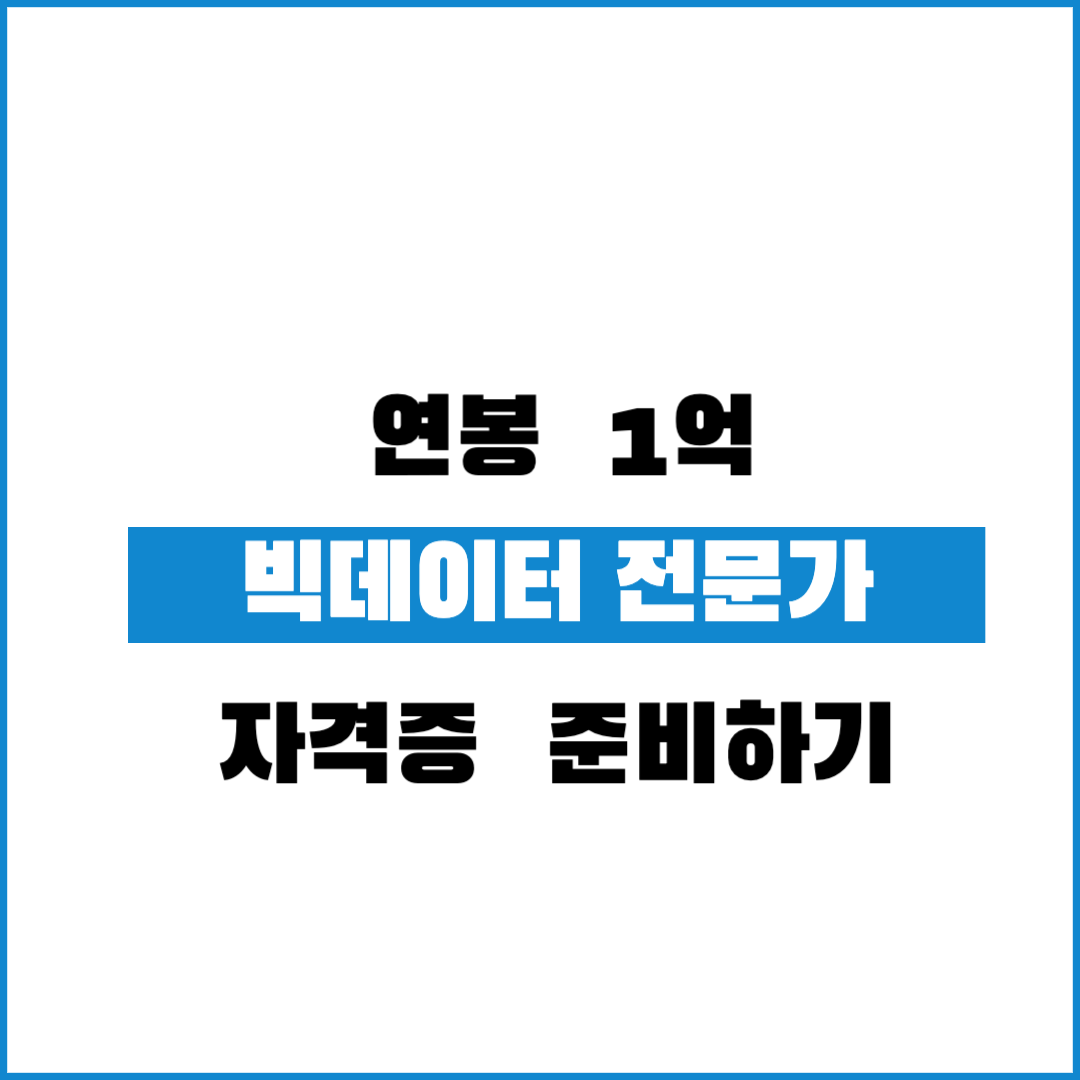 빅데이터 분석 기사 자격증